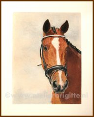 brigitteatelier_w138-okido