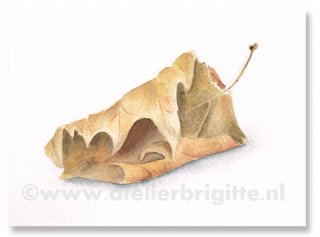 brigitteatelier_w2011-class005